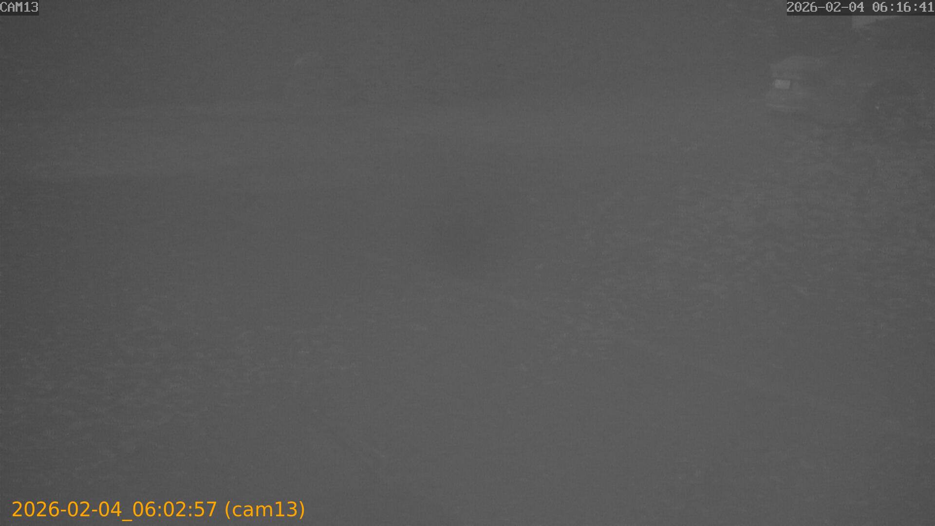 thumbnail_20260204060257