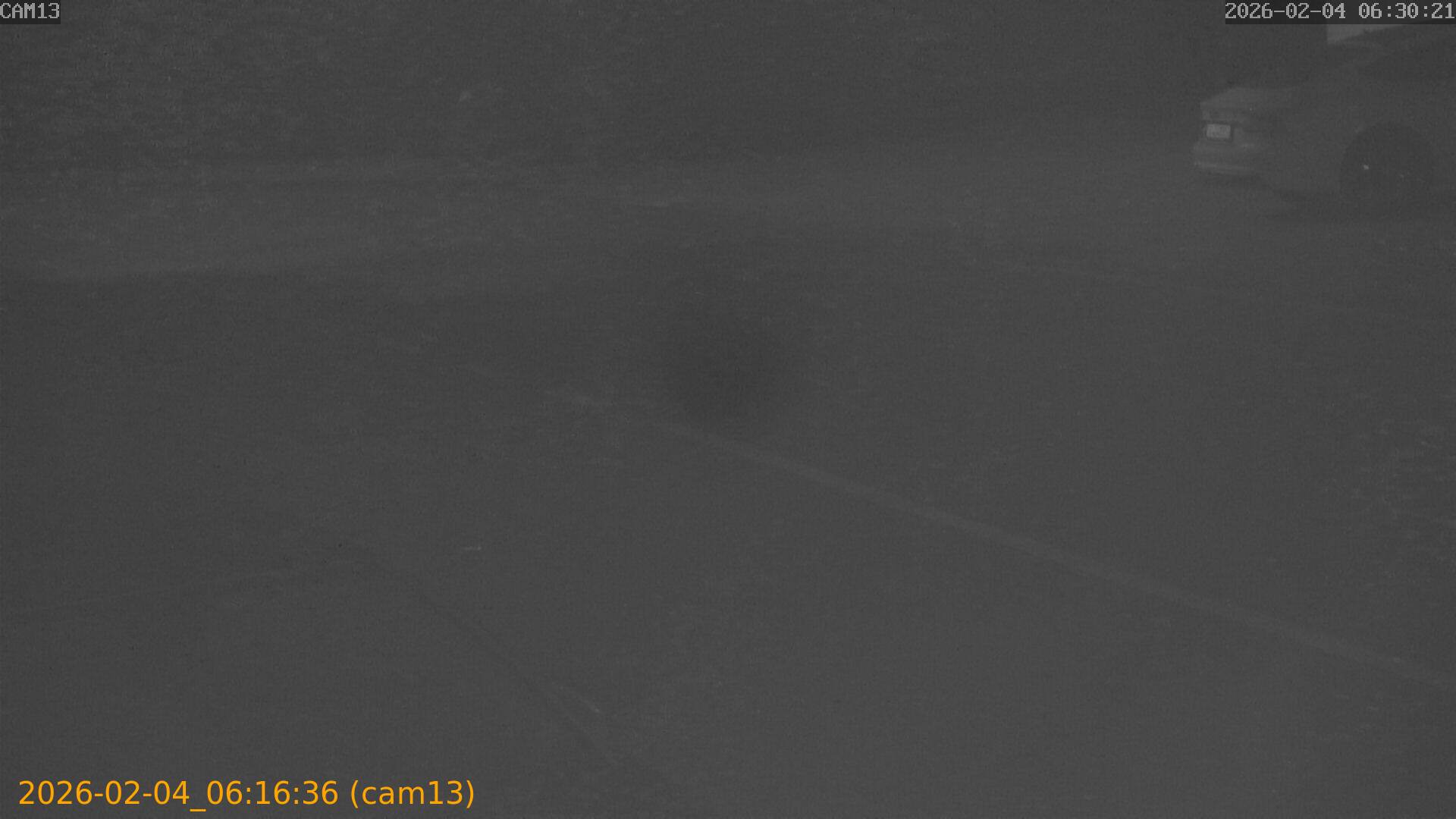 thumbnail_20260204061636