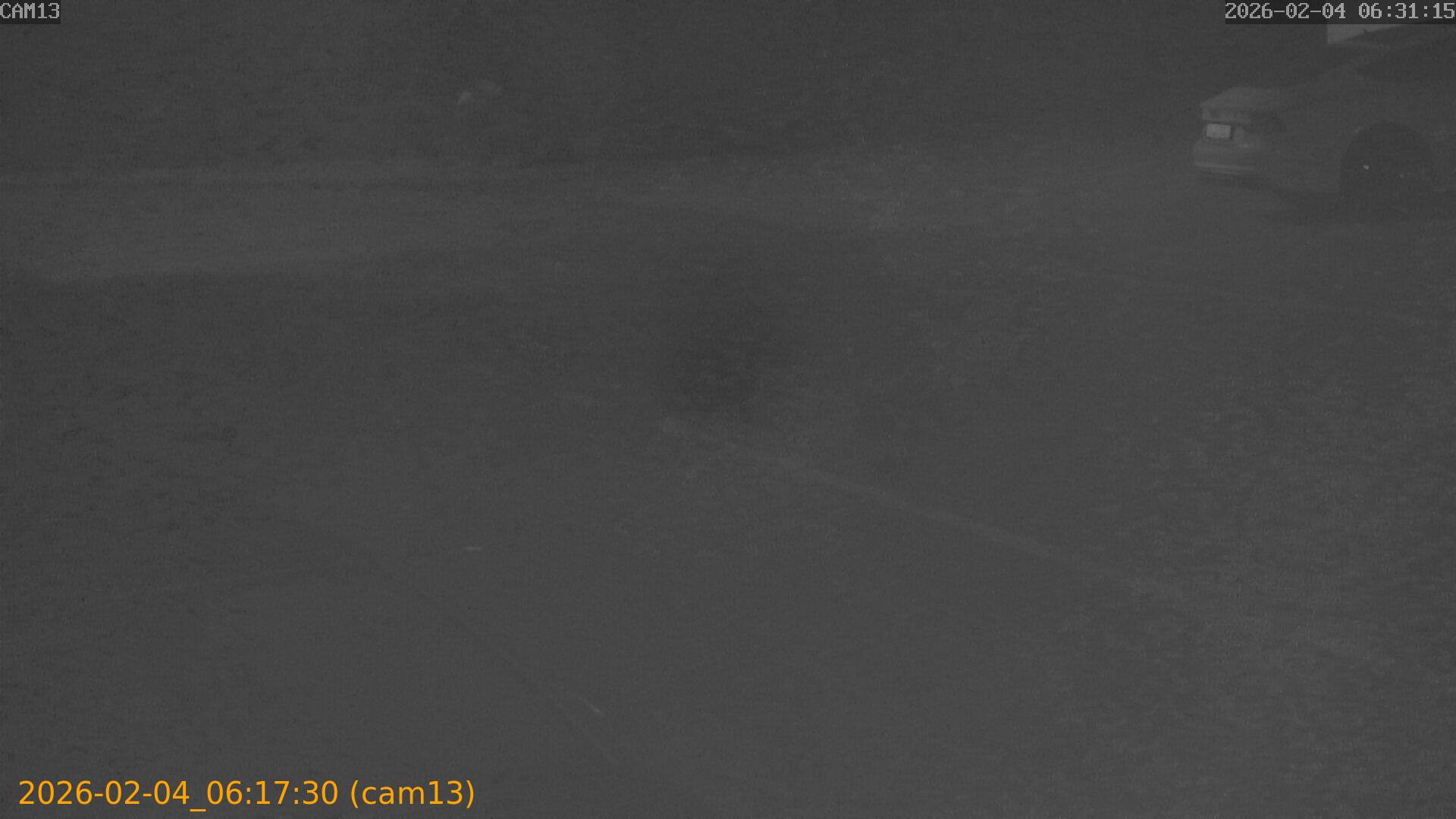 thumbnail_20260204061730