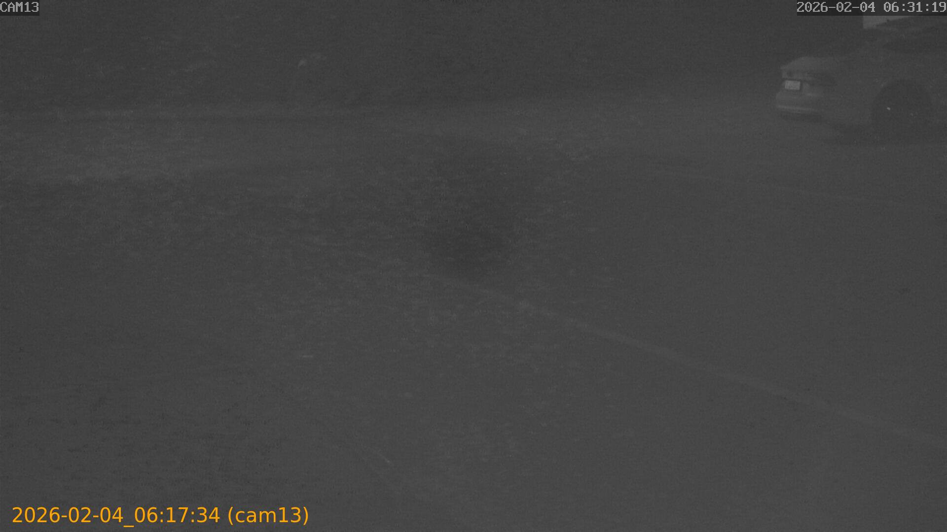 thumbnail_20260204061734