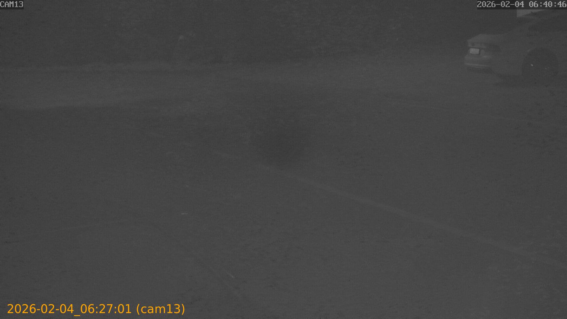 thumbnail_20260204062701