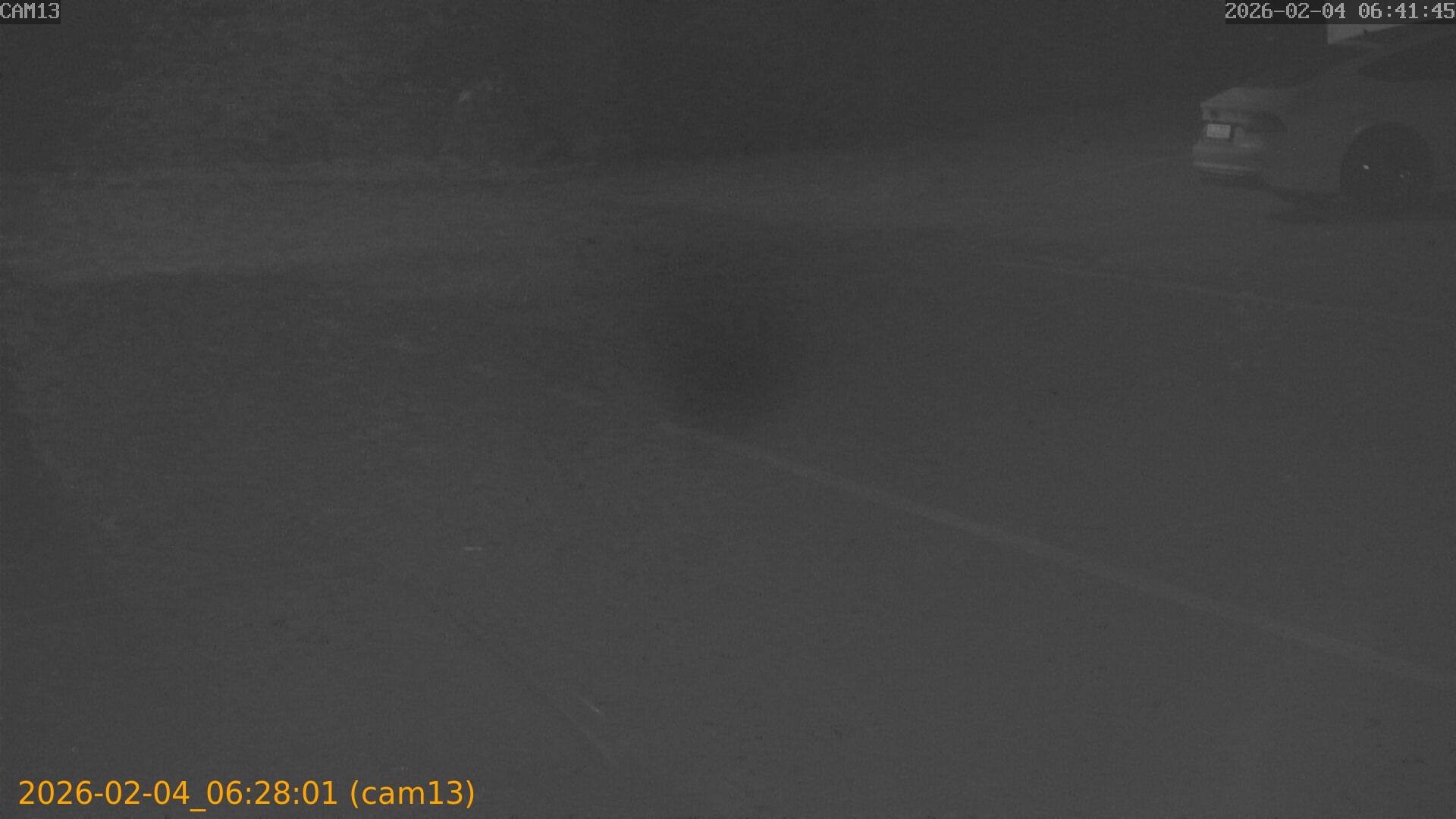 thumbnail_20260204062801