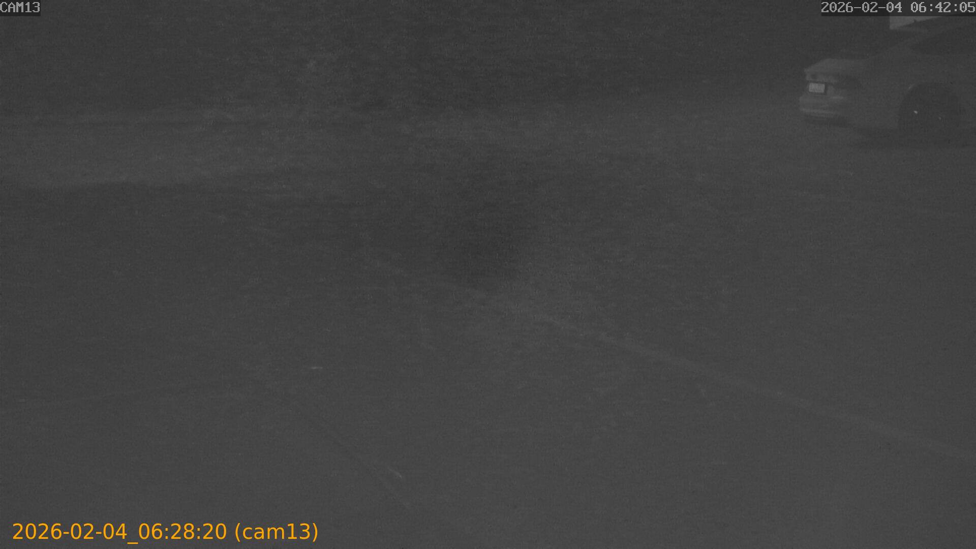 thumbnail_20260204062820