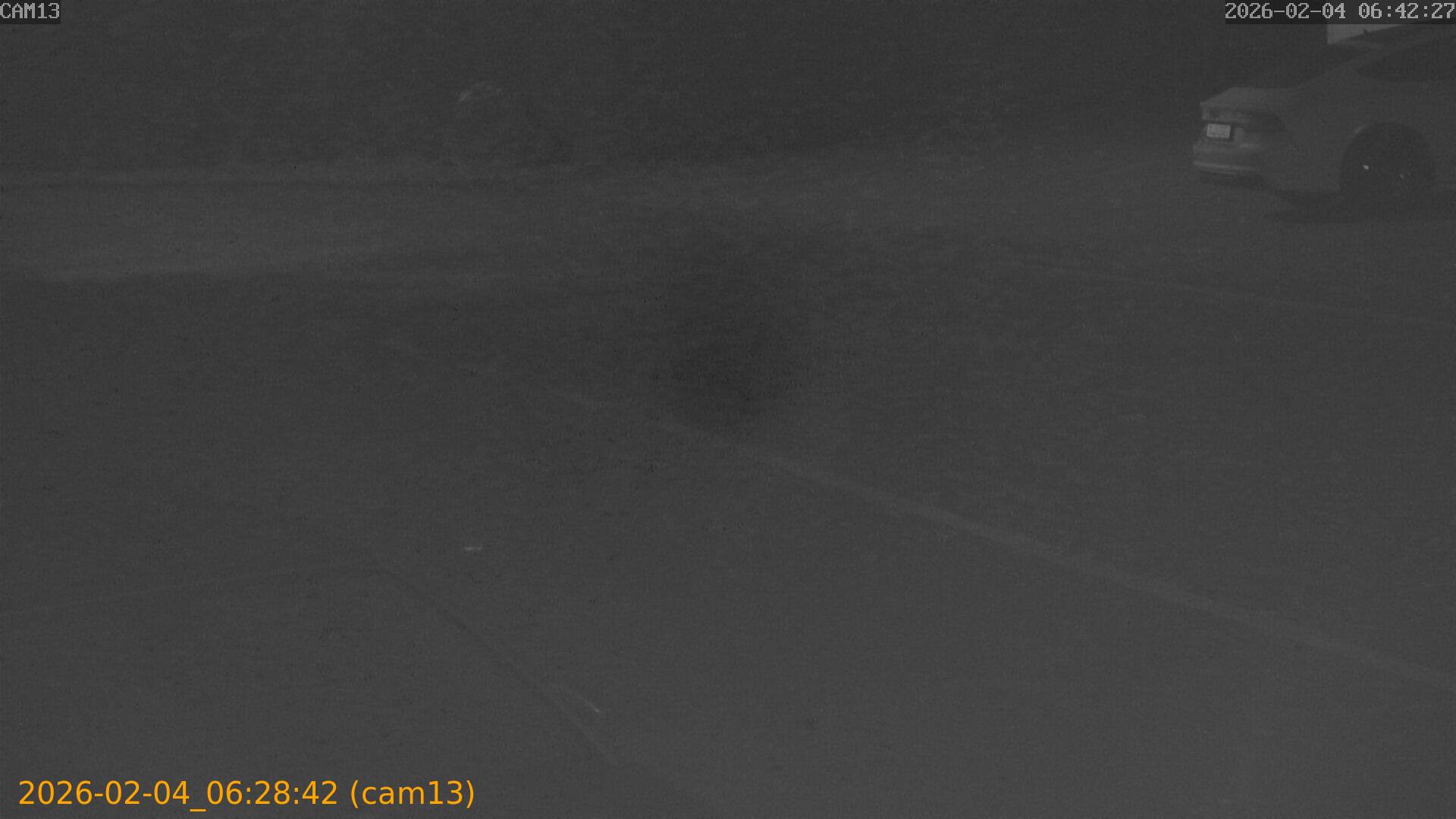 thumbnail_20260204062842