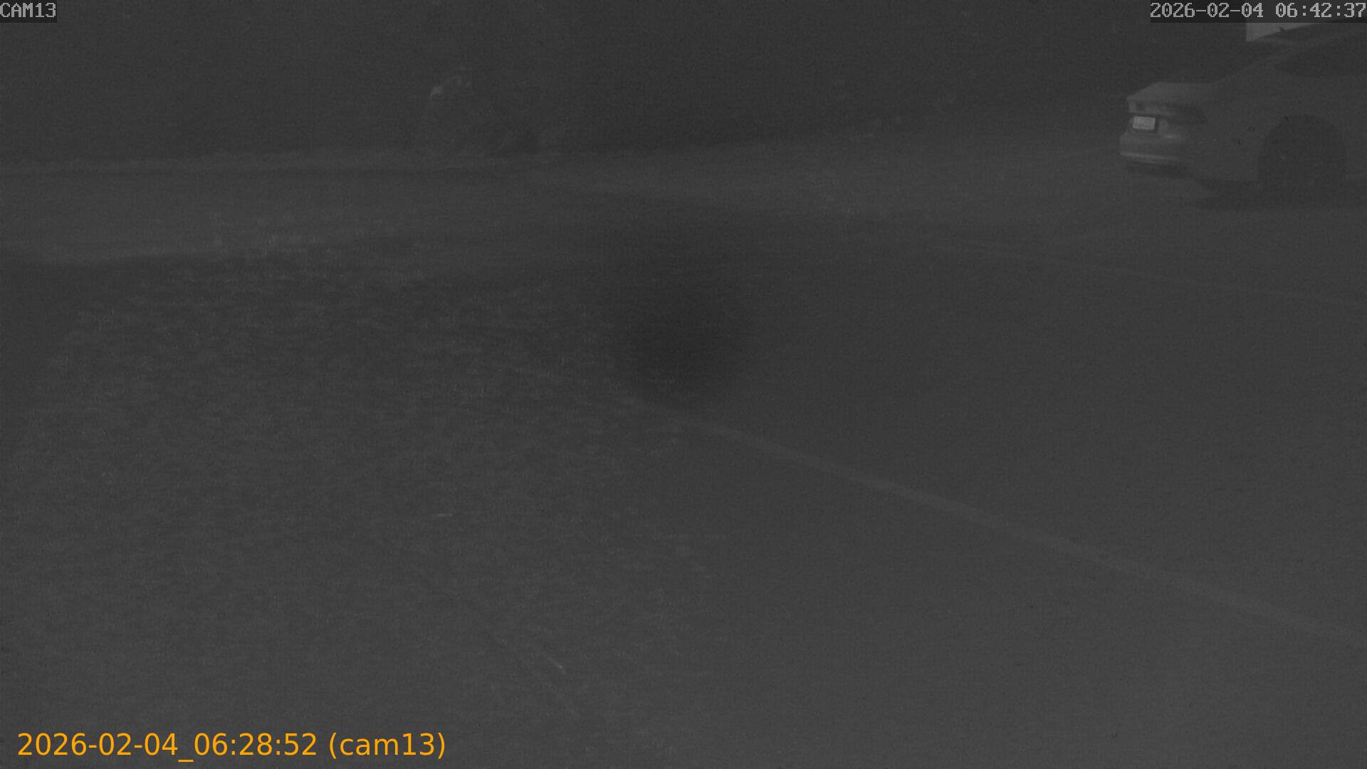 thumbnail_20260204062852