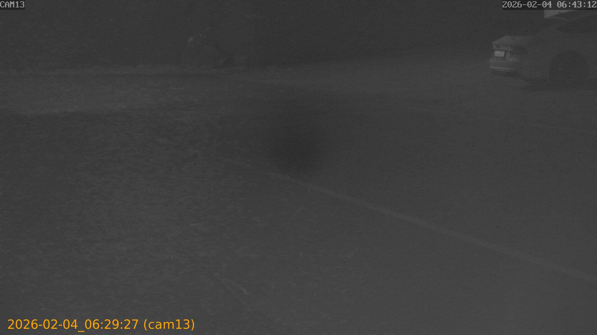 thumbnail_20260204062927