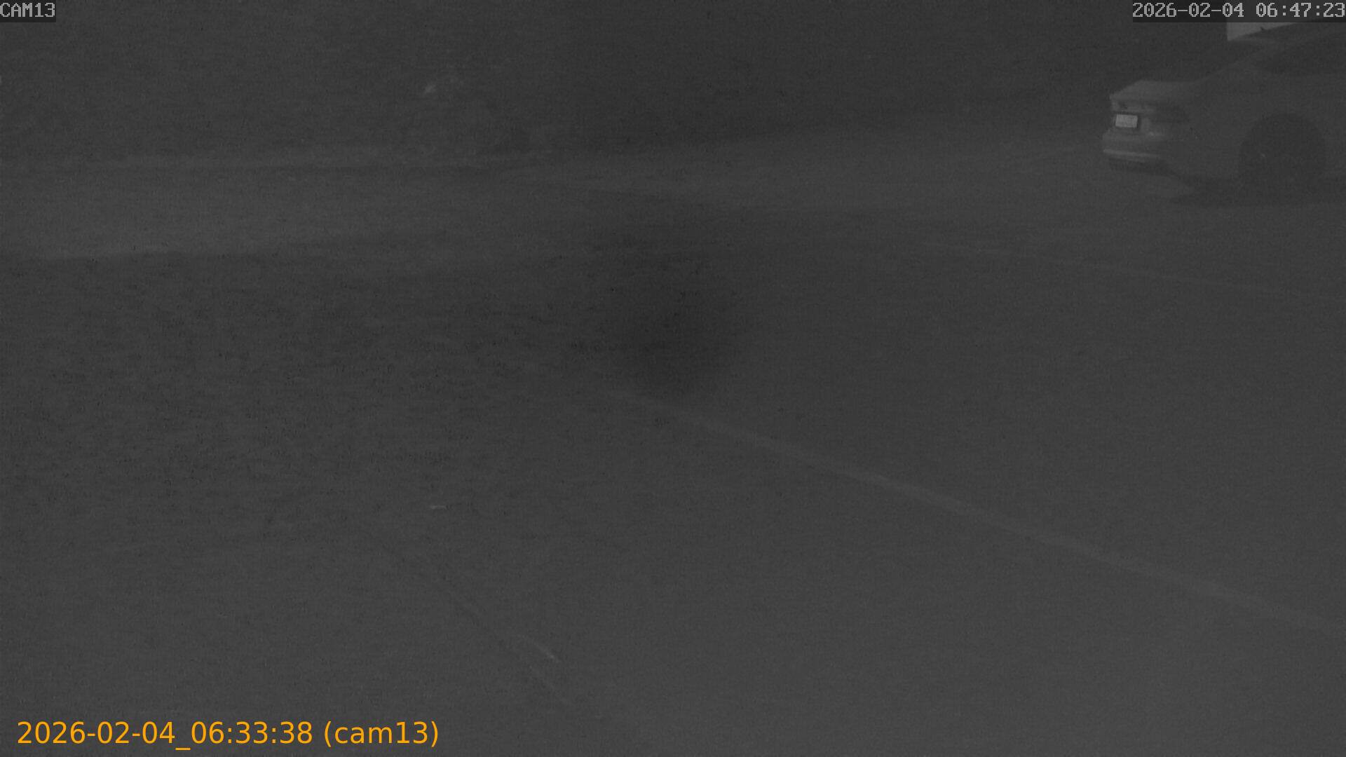 thumbnail_20260204063338