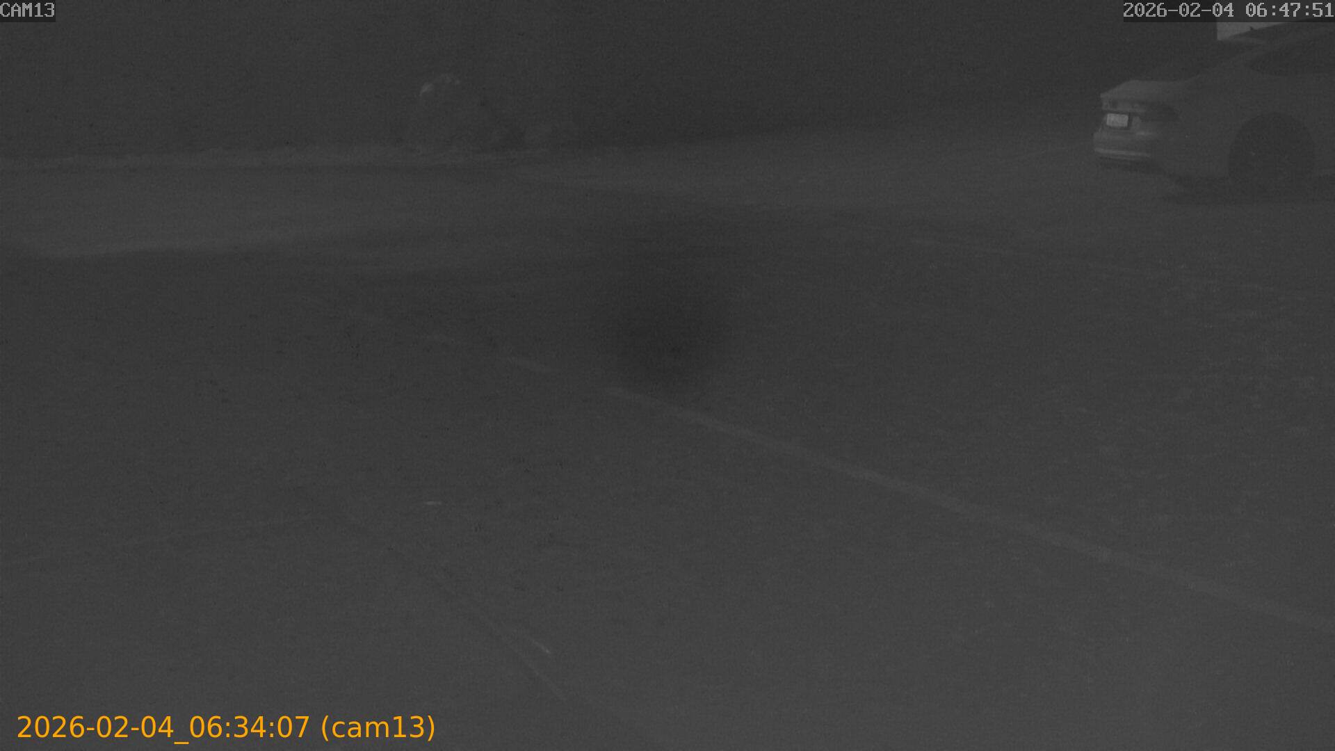 thumbnail_20260204063407