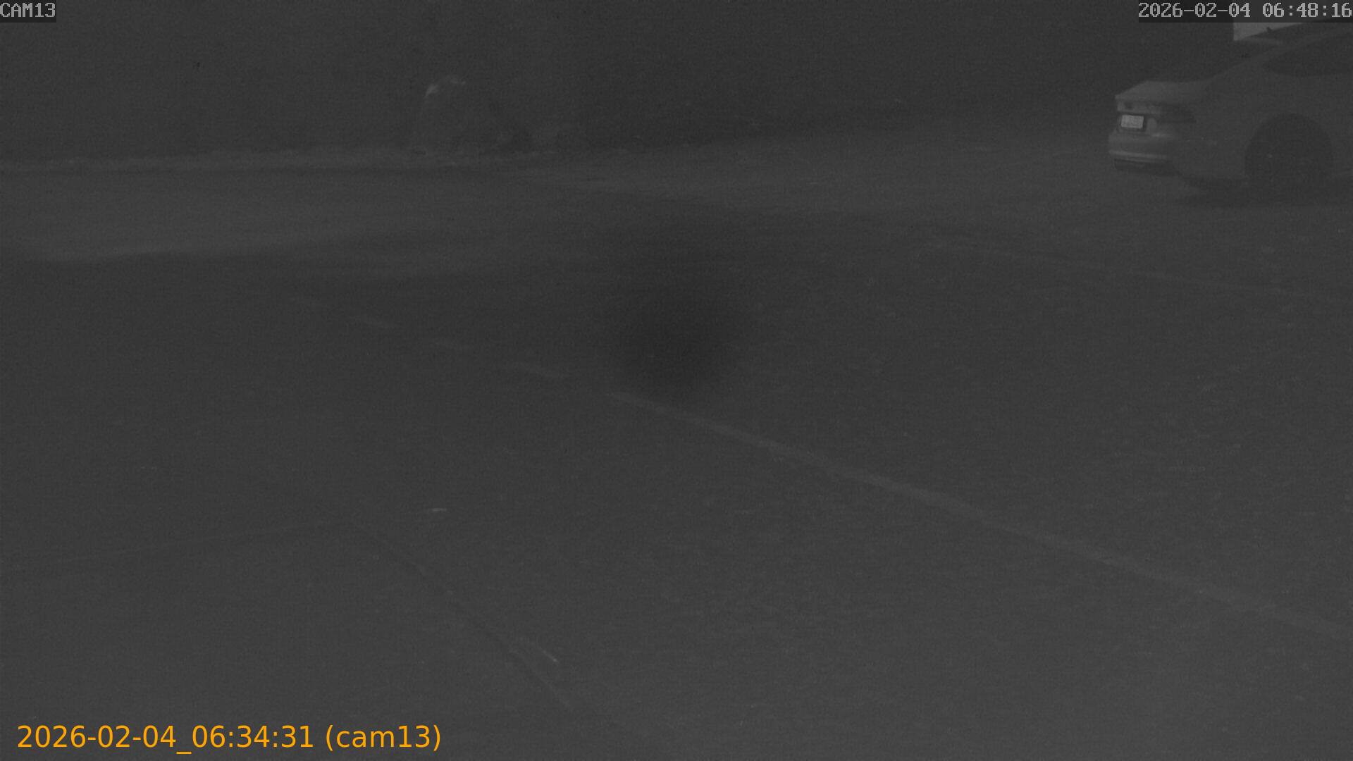 thumbnail_20260204063431