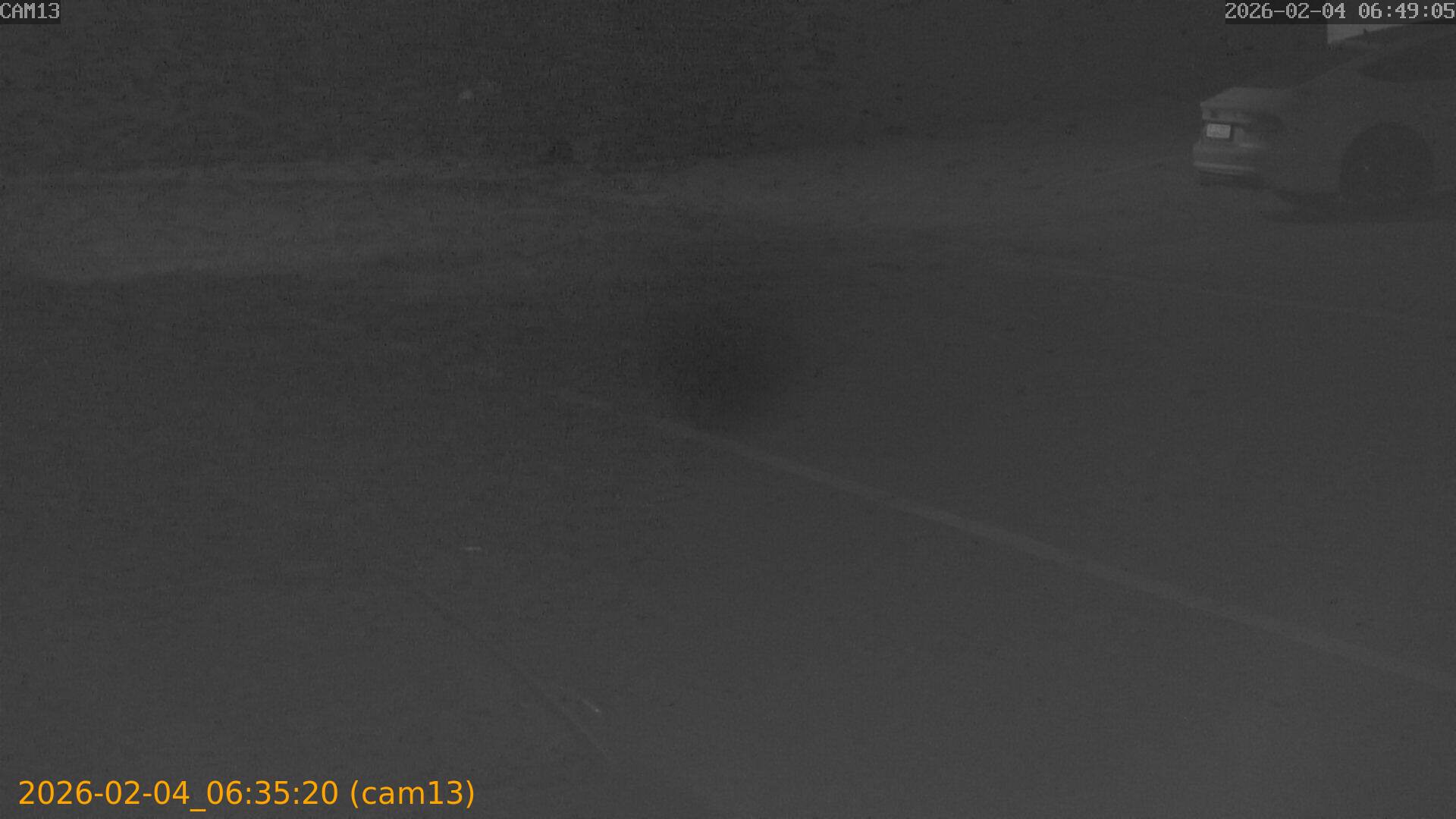 thumbnail_20260204063520