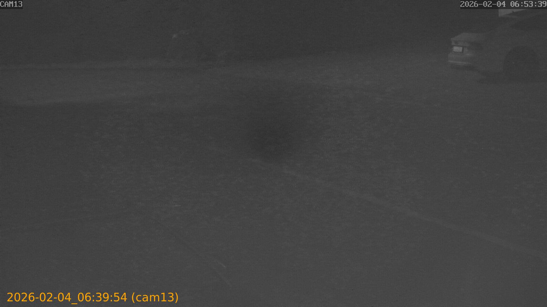 thumbnail_20260204063954