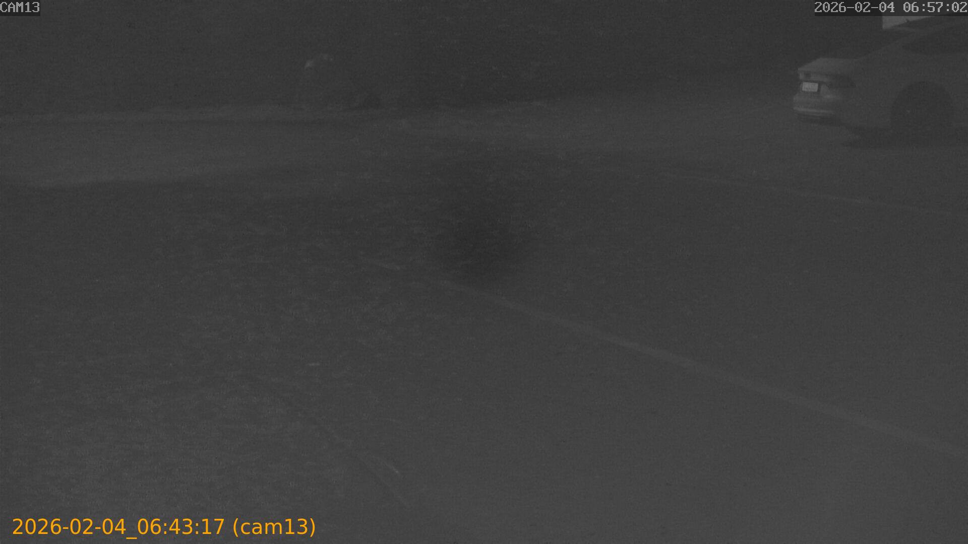 thumbnail_20260204064317