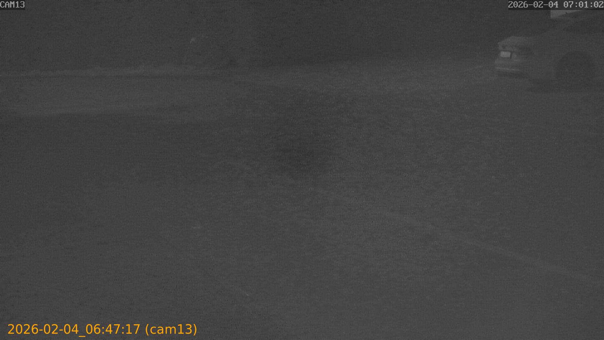 thumbnail_20260204064717