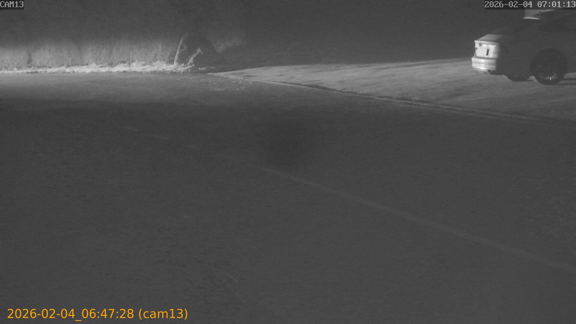 thumbnail_20260204064728