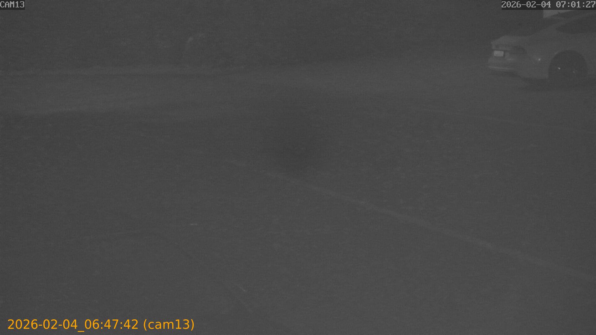 thumbnail_20260204064742