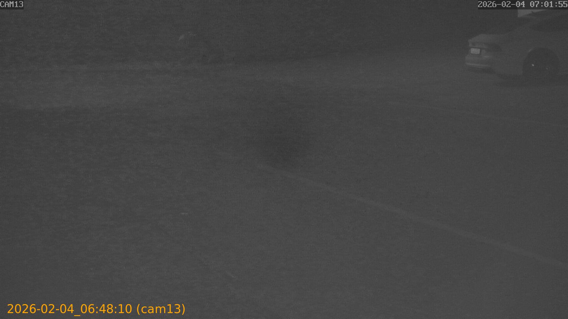 thumbnail_20260204064810