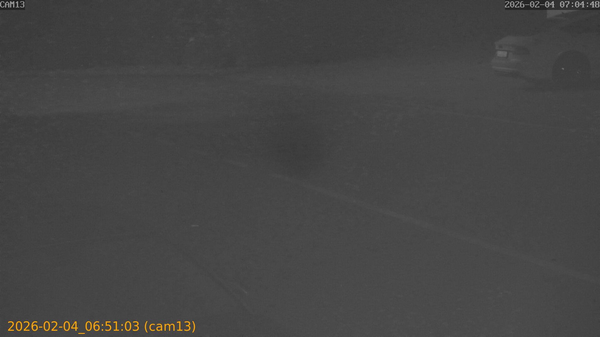 thumbnail_20260204065103