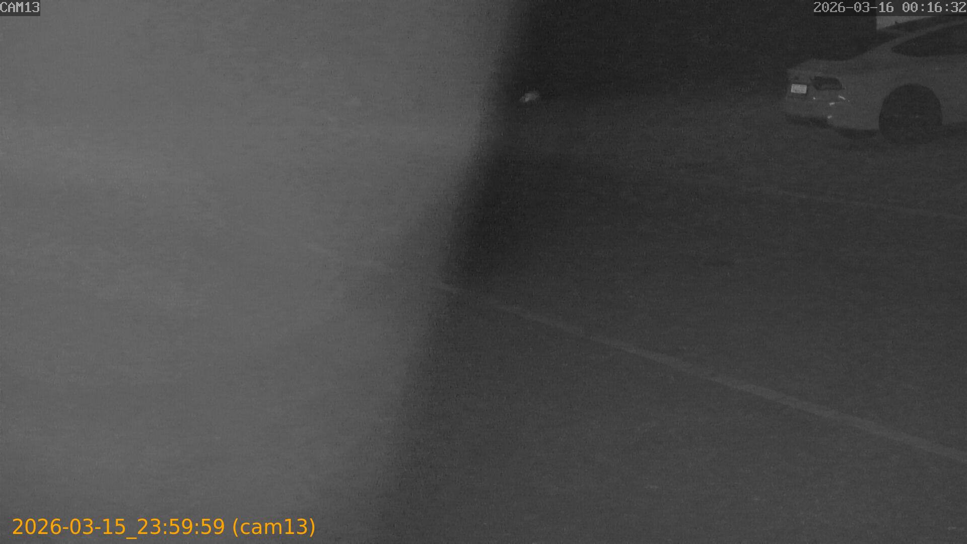 thumbnail_2026031523