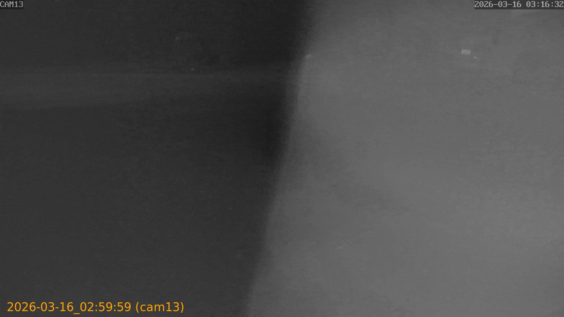 thumbnail_2026031602