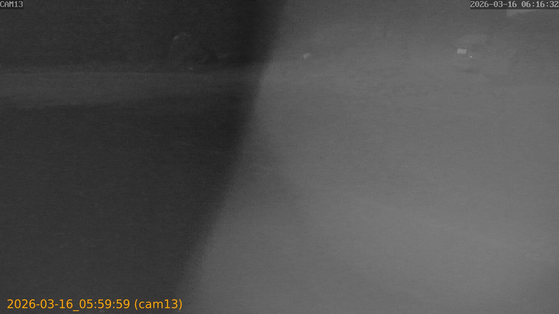 thumbnail_2026031605