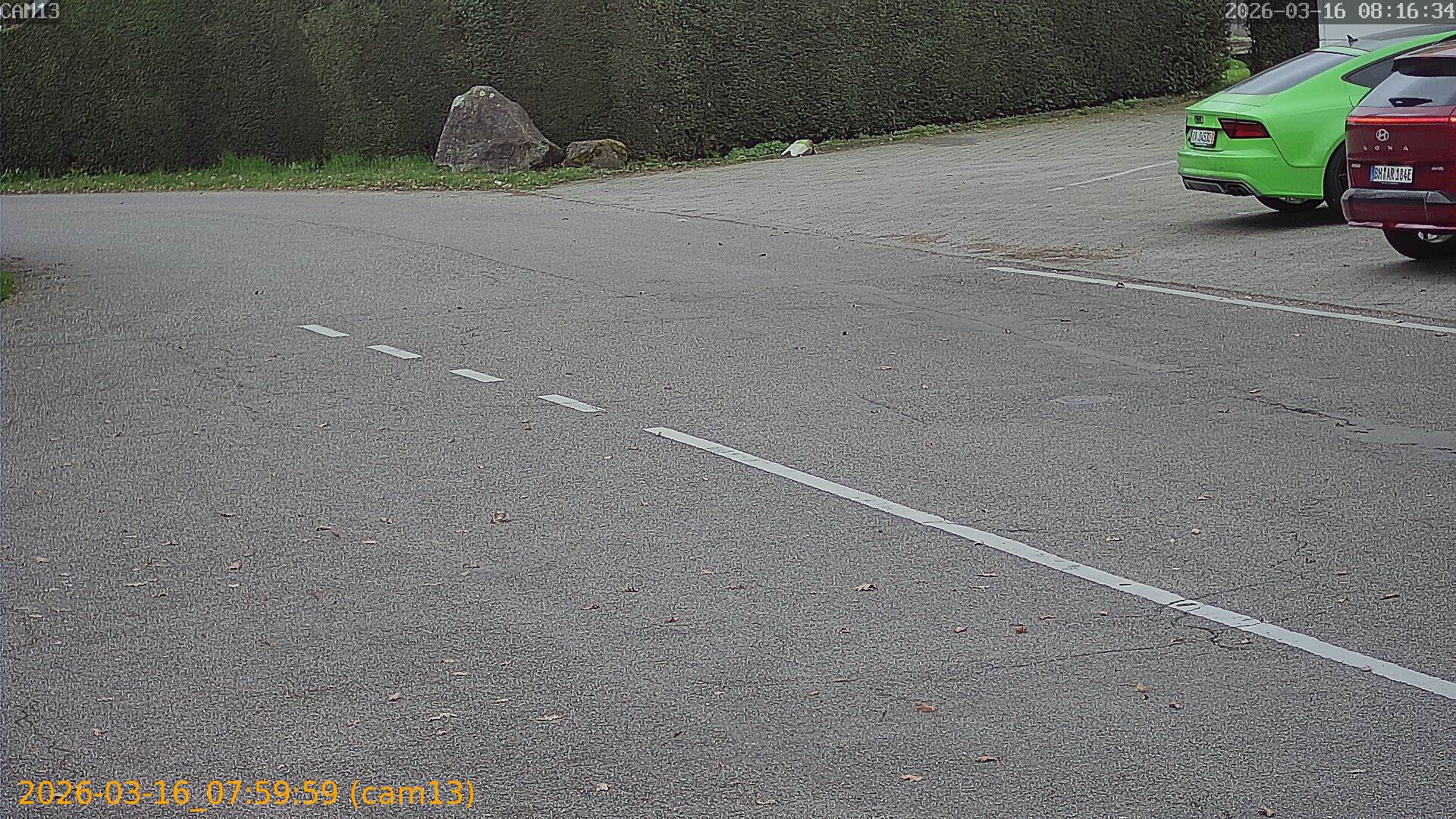 thumbnail_2026031607