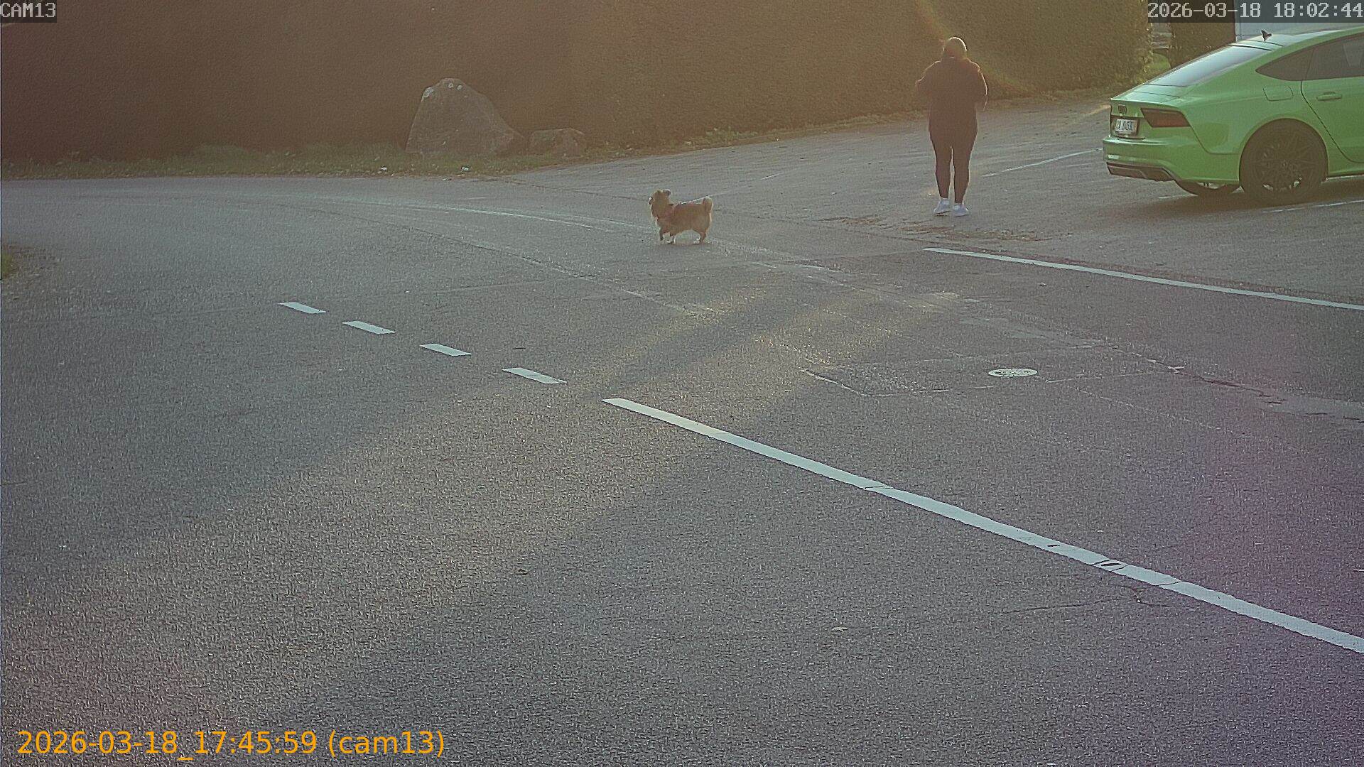 thumbnail_202603181745