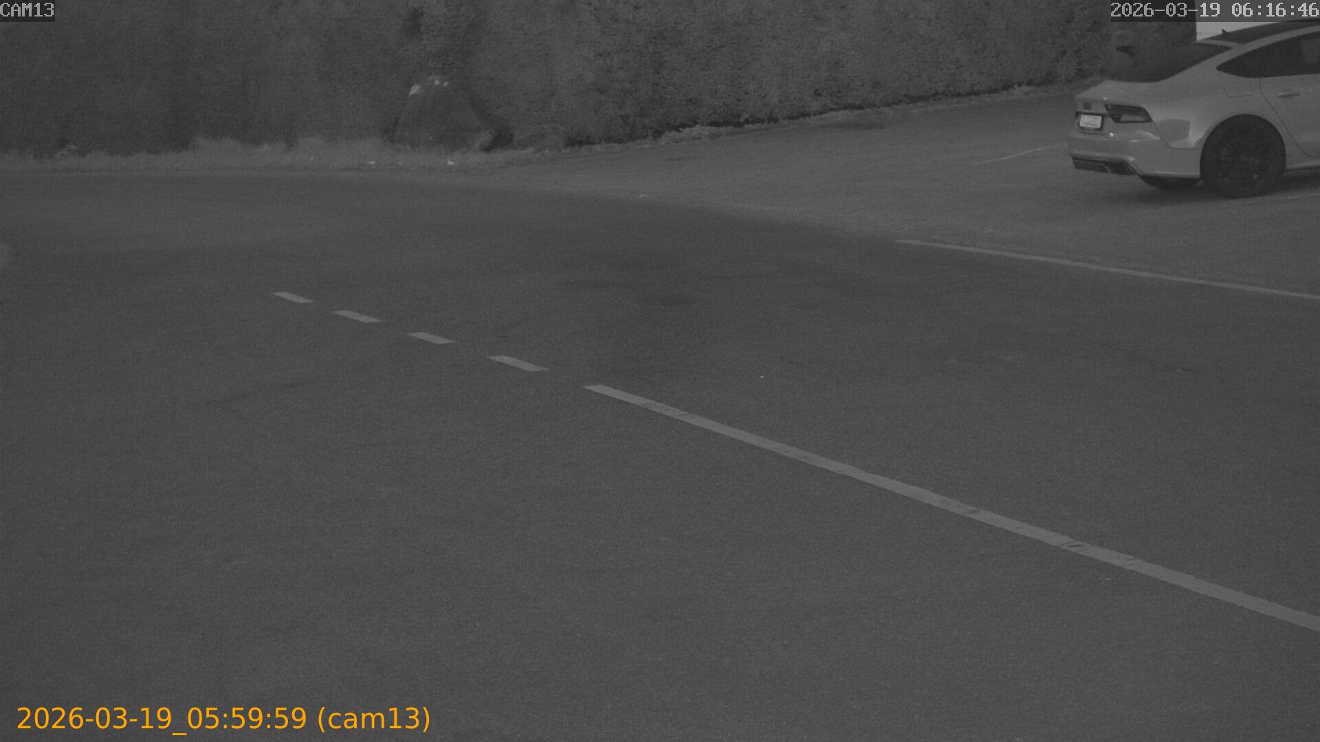 thumbnail_2026031905