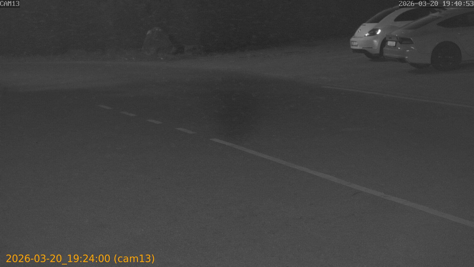 thumbnail_202603201923