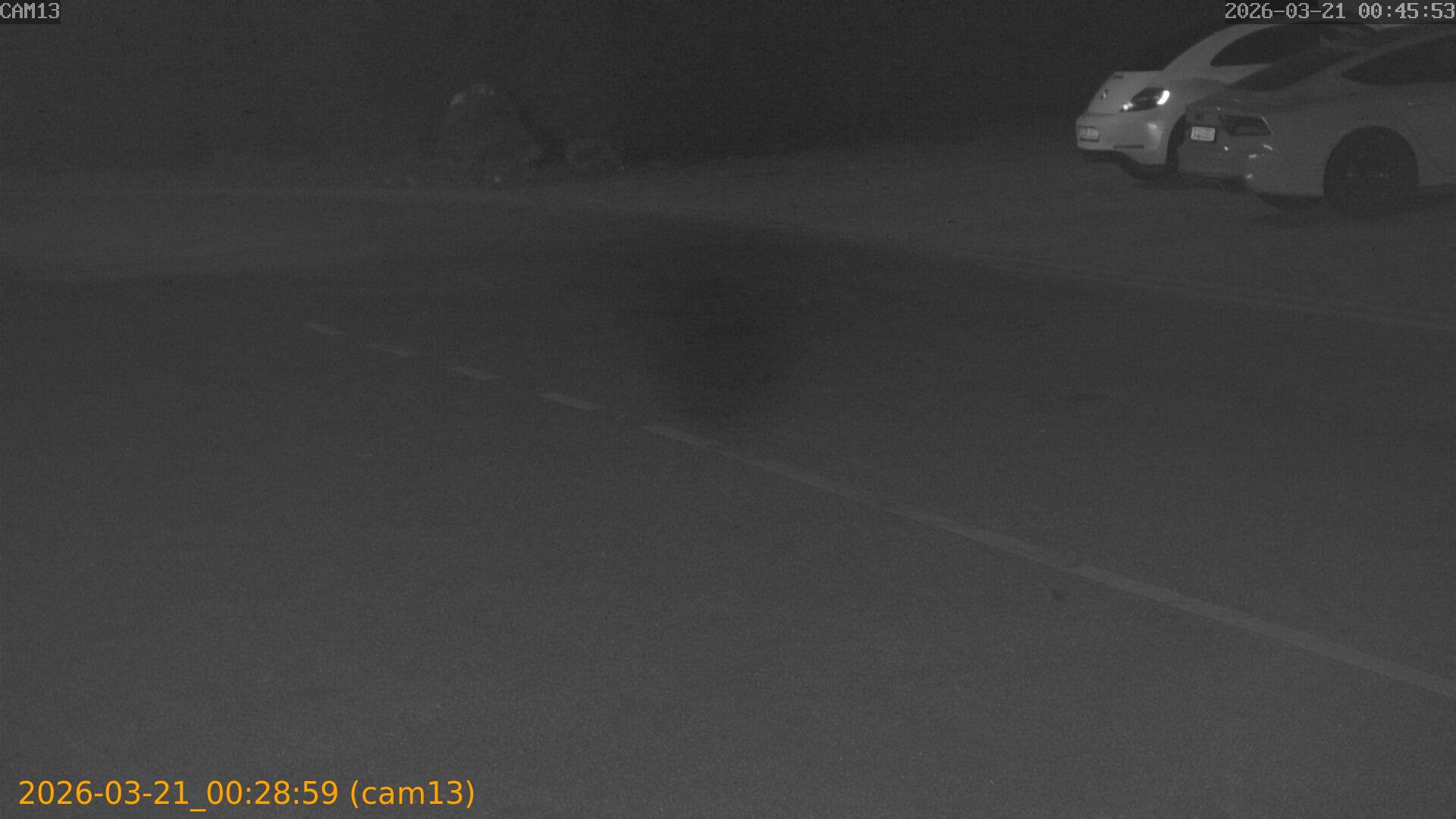 thumbnail_202603210028