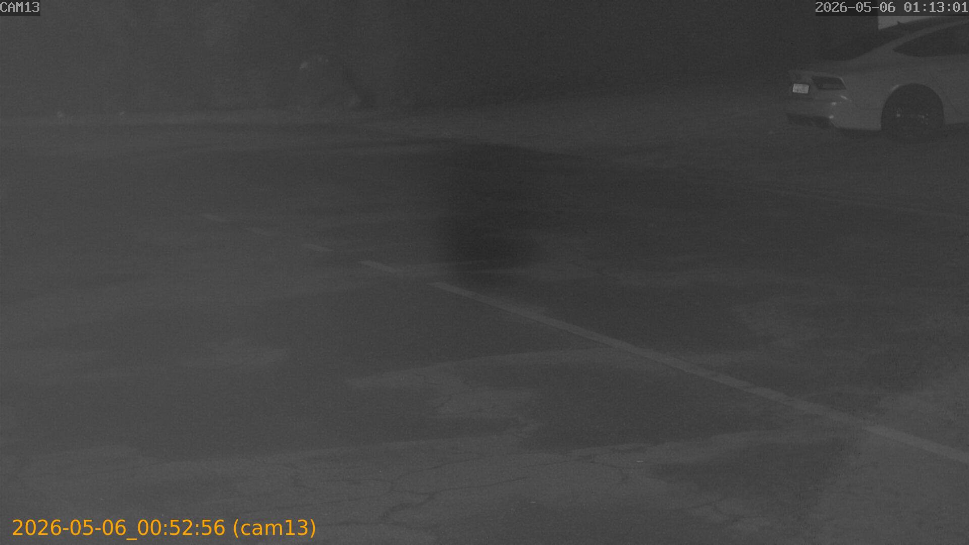 20260506005256