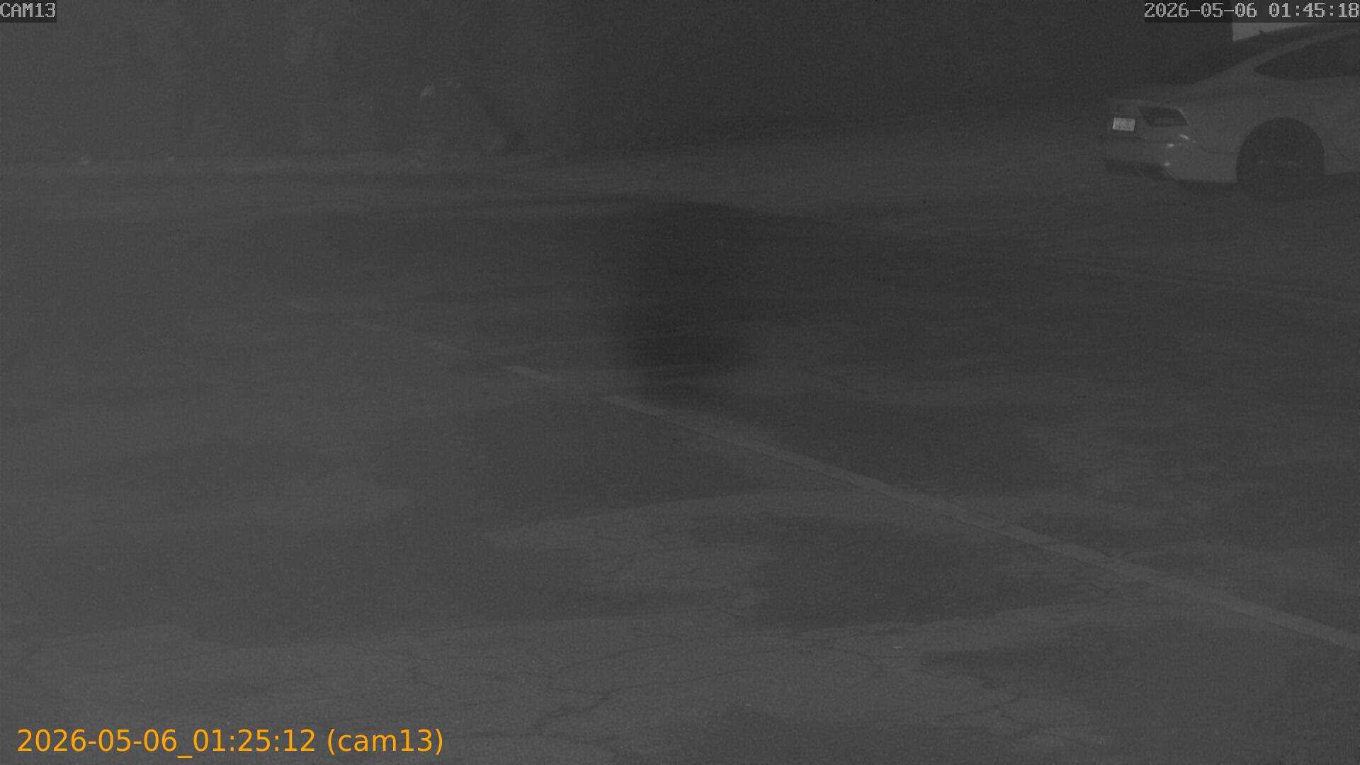 20260506012512