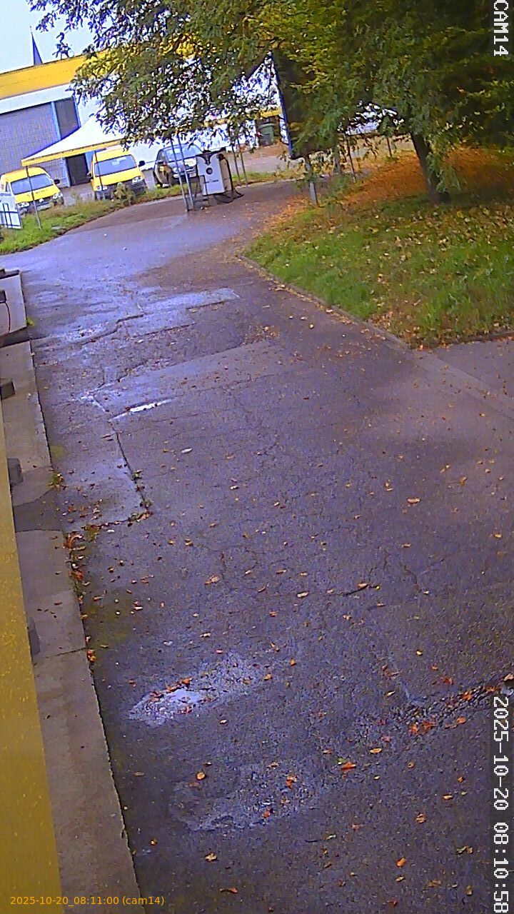 thumbnail_202510200810