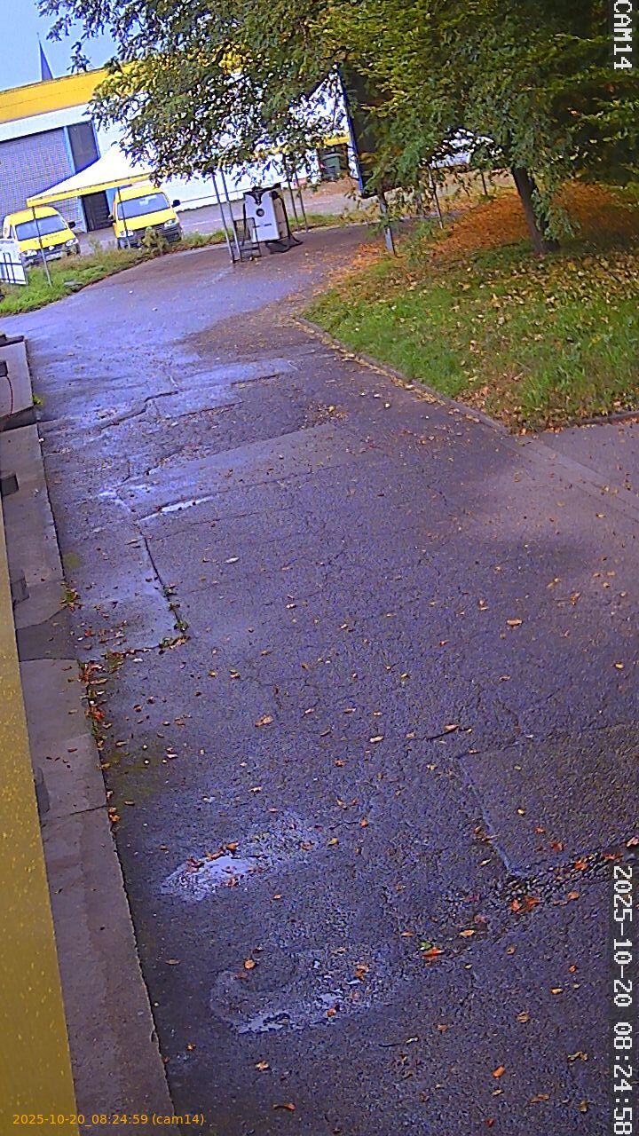 thumbnail_202510200824