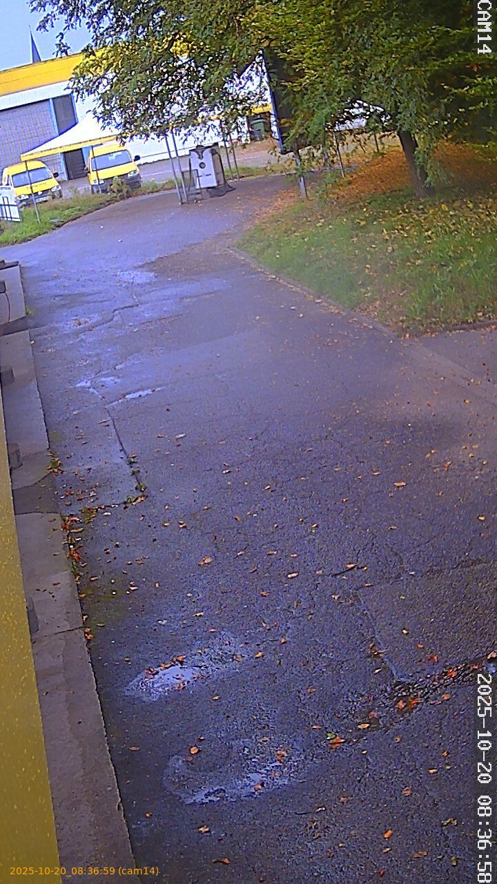 thumbnail_202510200836
