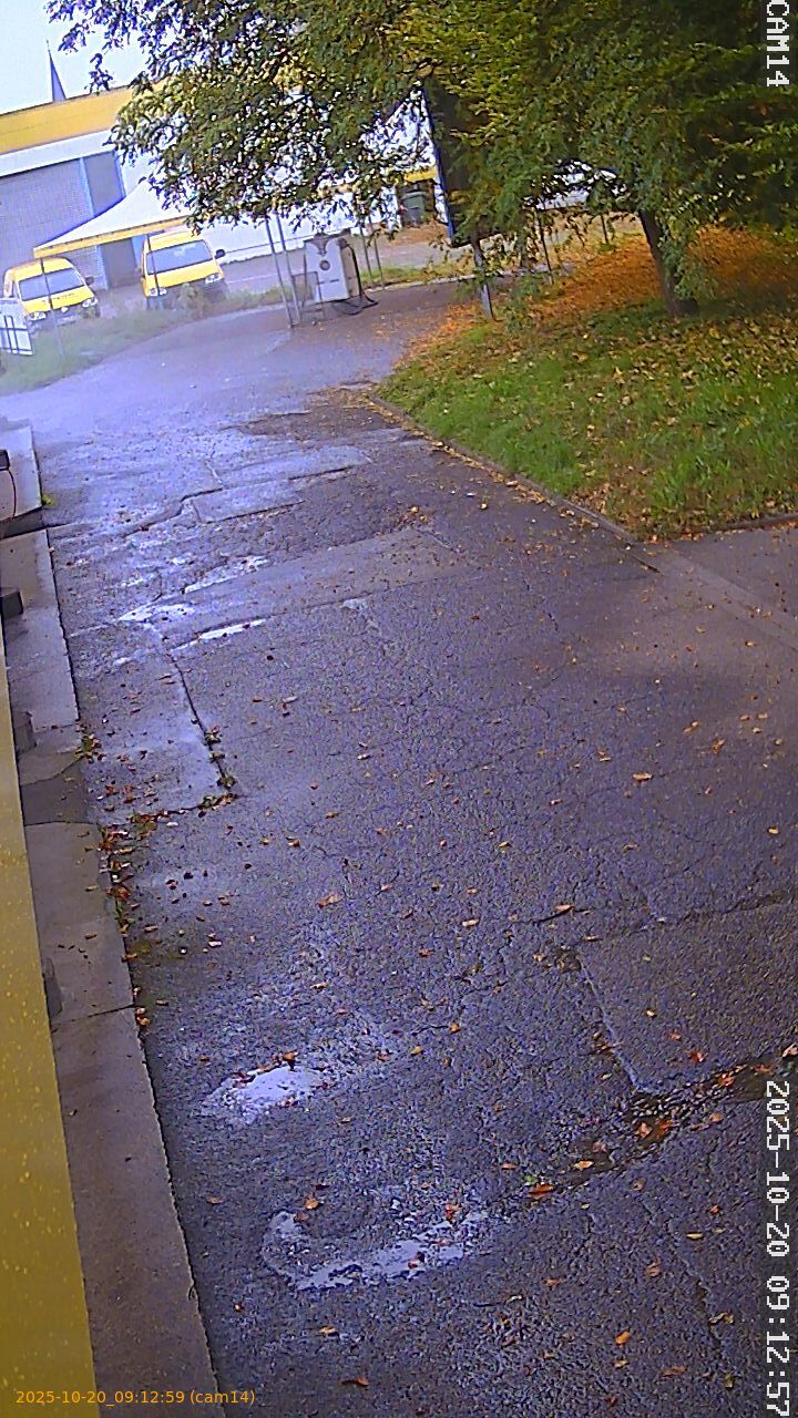 thumbnail_202510200912