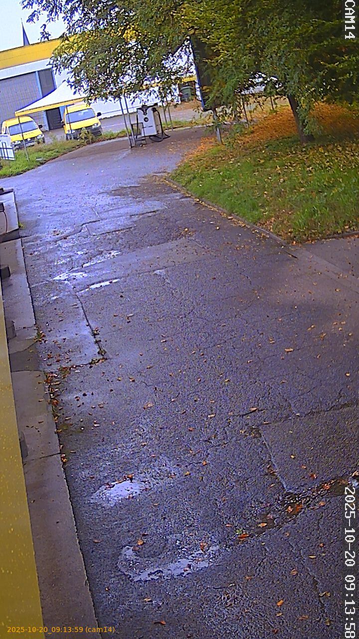 thumbnail_202510200913