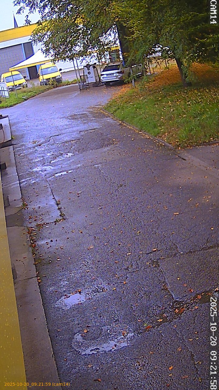 thumbnail_202510200921