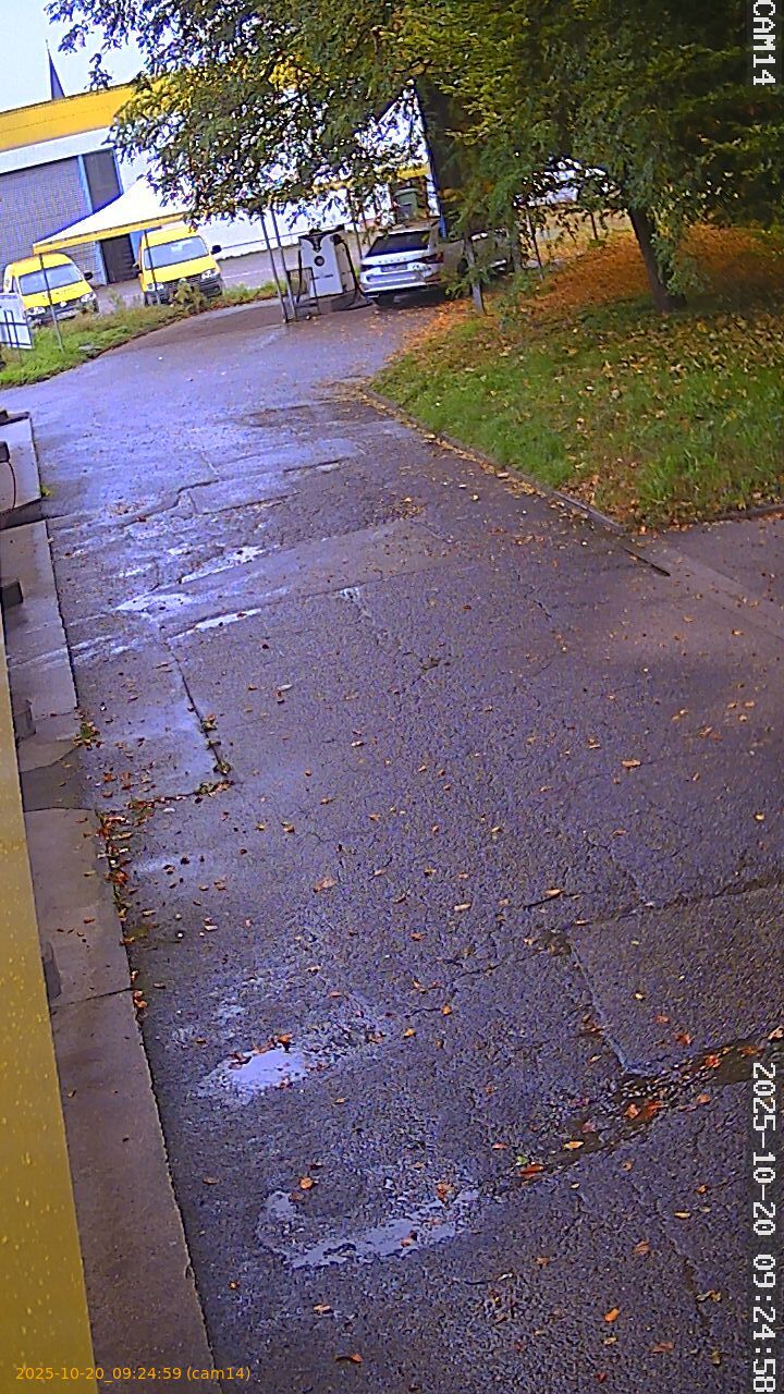 thumbnail_202510200924