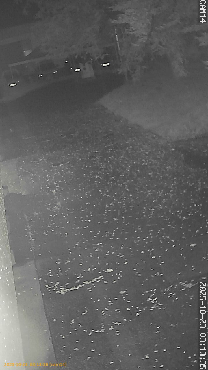 20251023031336