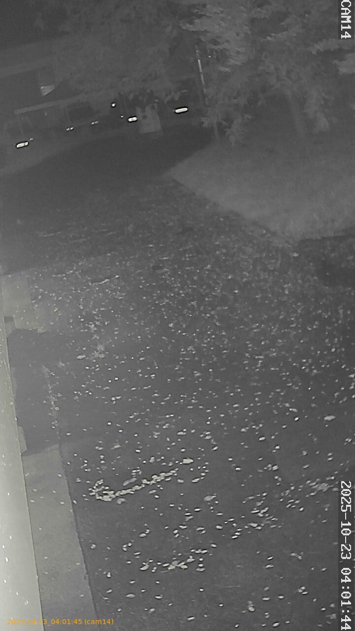 20251023040145