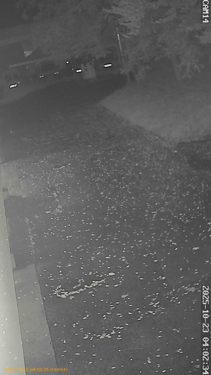20251023040235