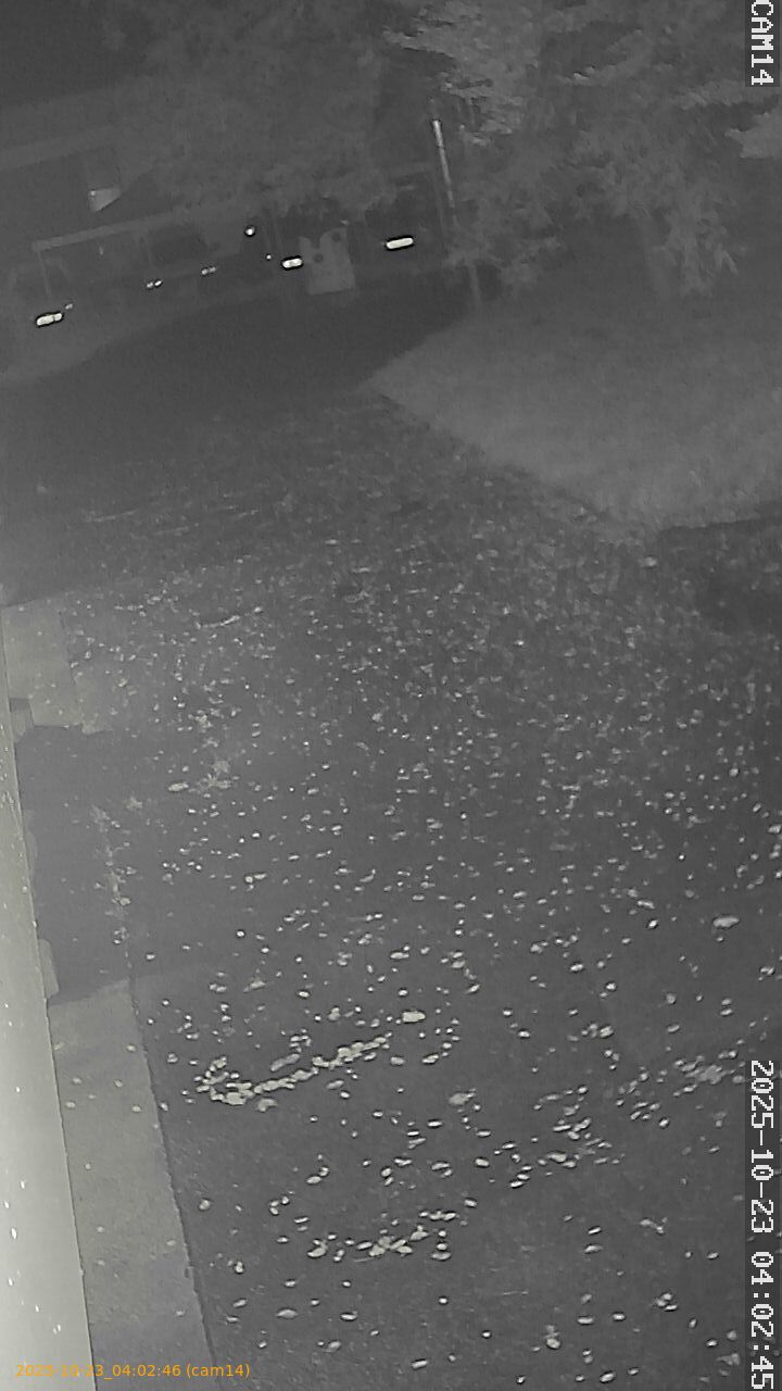 20251023040246