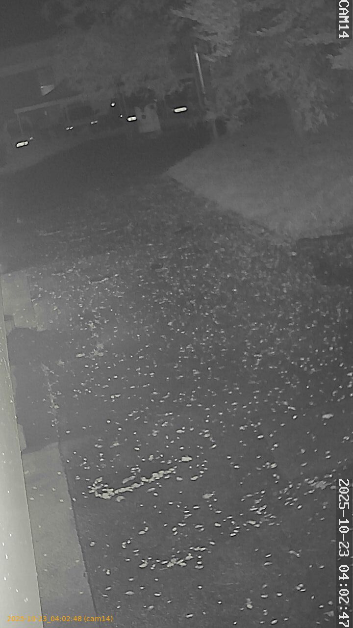 20251023040248