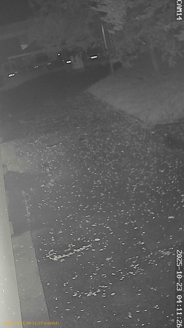 20251023041127