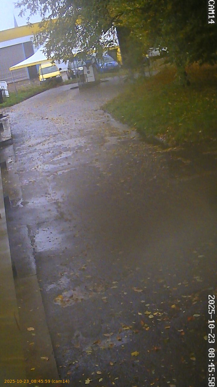 thumbnail_202510230845