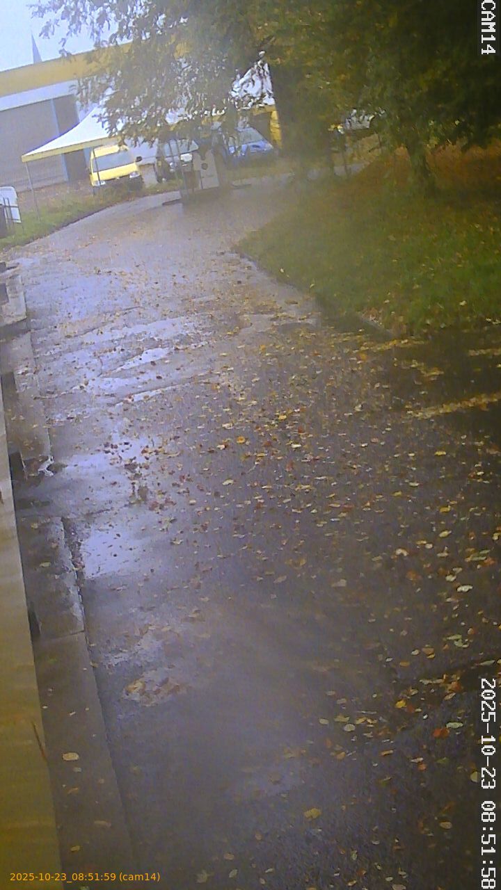 thumbnail_202510230851
