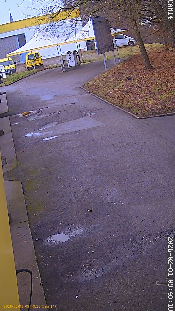 thumbnail_20260201094018