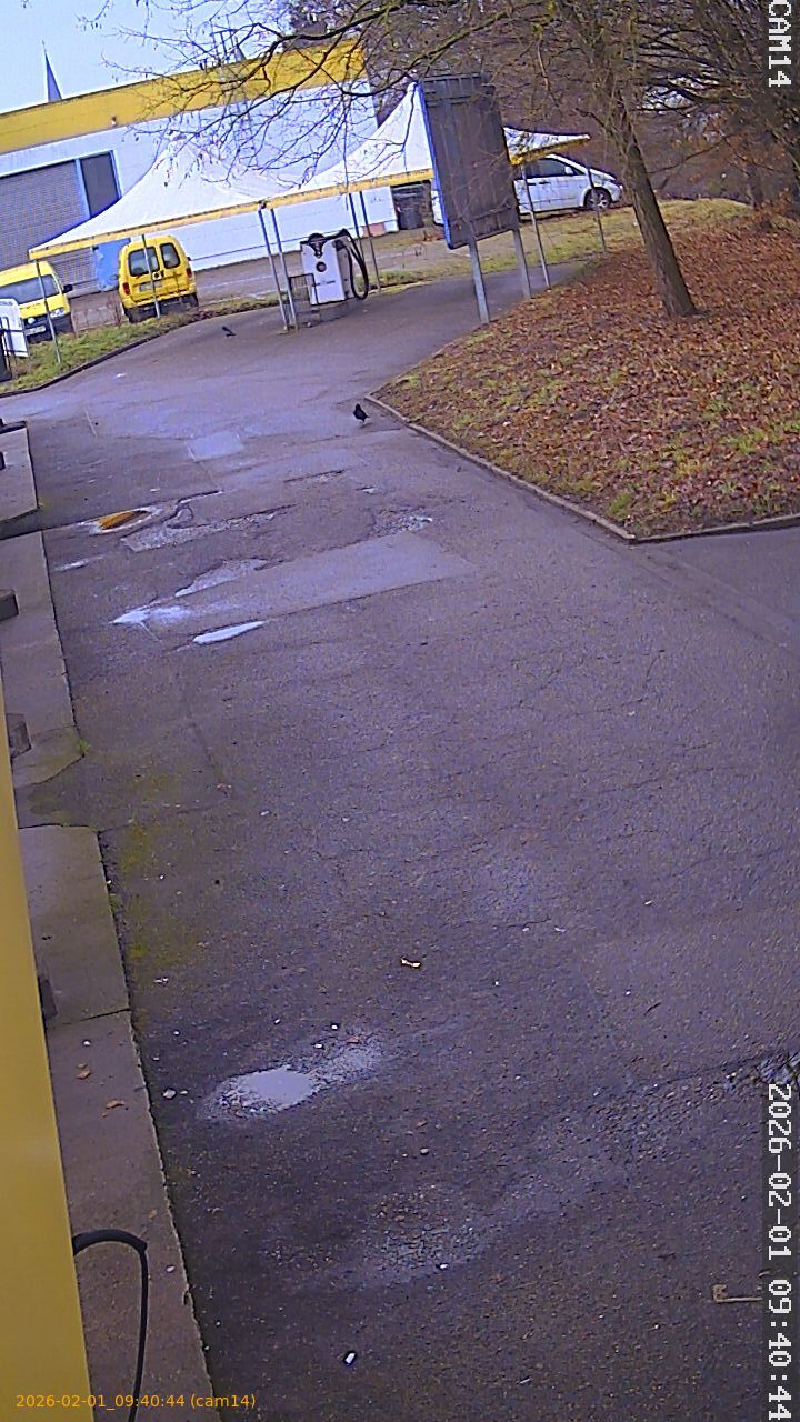 thumbnail_20260201094044