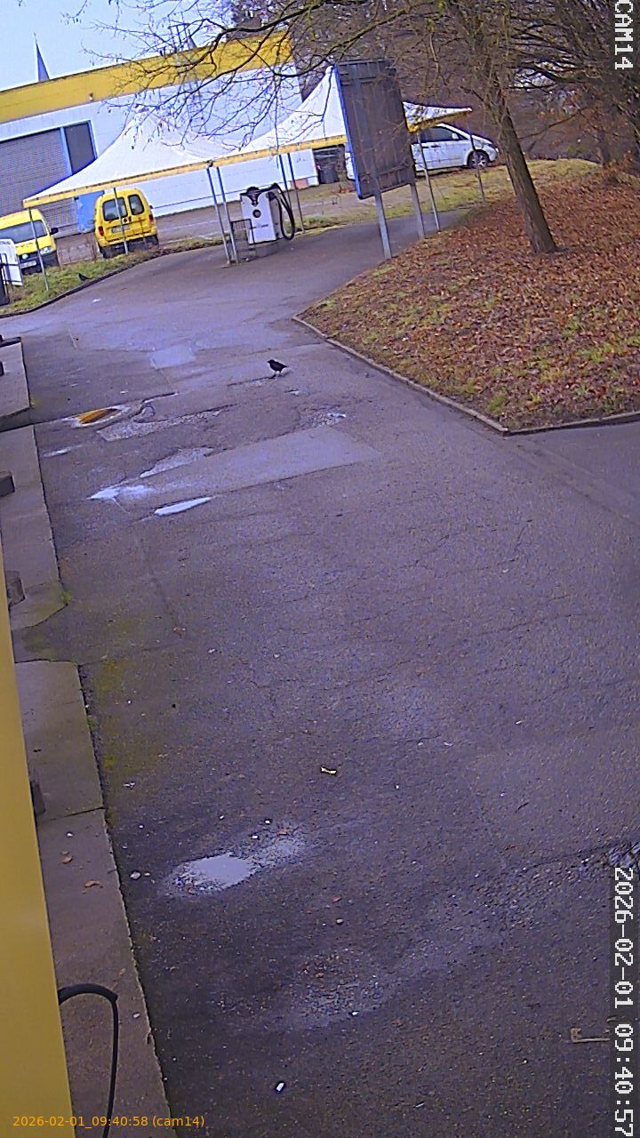 thumbnail_20260201094058