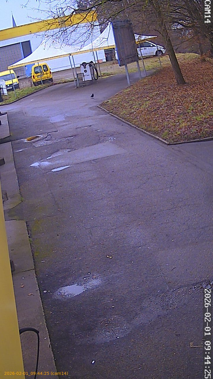 thumbnail_20260201094425